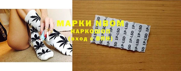 ГАЛЛЮЦИНОГЕННЫЕ ГРИБЫ Горно-Алтайск
