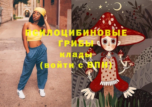 ГАЛЛЮЦИНОГЕННЫЕ ГРИБЫ Горно-Алтайск