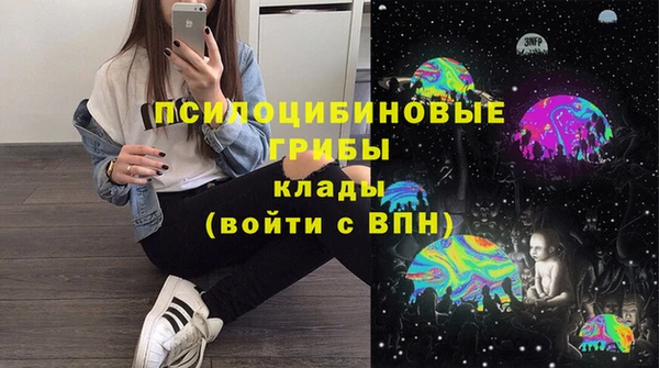 ГАЛЛЮЦИНОГЕННЫЕ ГРИБЫ Горно-Алтайск
