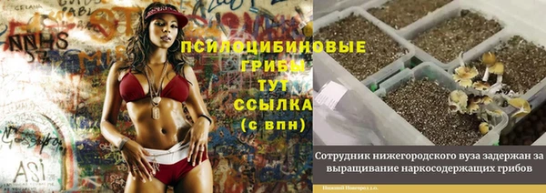 хмурый Горнозаводск