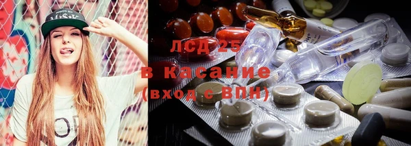ГАЛЛЮЦИНОГЕННЫЕ ГРИБЫ Горно-Алтайск