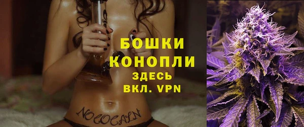 PSILOCYBIN Белая Холуница