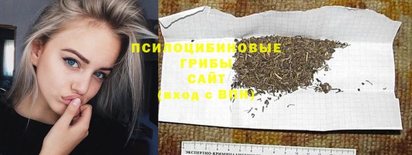 ГАЛЛЮЦИНОГЕННЫЕ ГРИБЫ Горно-Алтайск