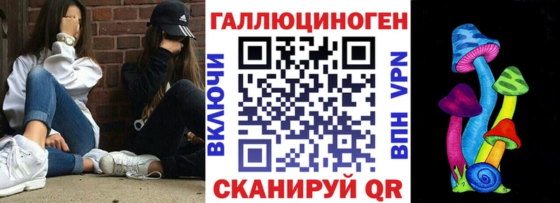где найти наркотики  Дмитровск  ОМГ ОМГ зеркало  Псилоцибиновые грибы Psilocybe 